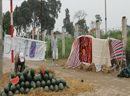 Dưa hấu “mắc kẹt", bán rẻ như cho